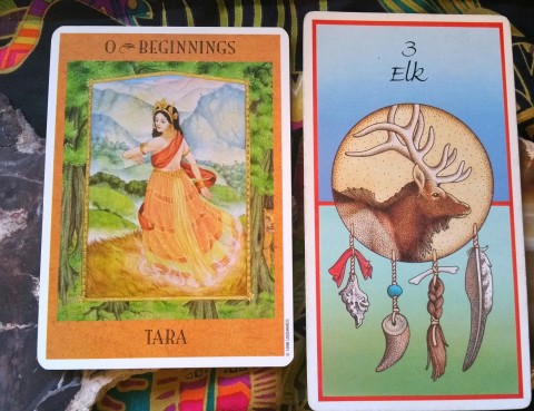 The Cards: Goddess Inspiration Oracle Guide by Kris Waldherr; The Animal Medicine Cards by Jamie Sams and Dave Carson.