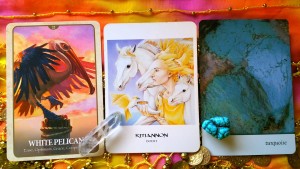 The Cards: The Goddess Oracle by Amy Sophia Marashinsky; The Crystal Oracle by Toni Carmine Salerno; The Secret Language of Animals by Chip Richards;