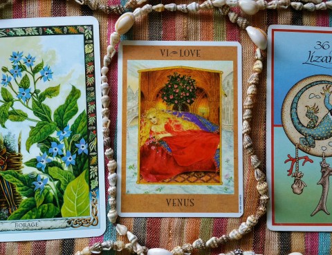 The Cards: The Goddess Tarot by Kris Waldherr; The Druid Plant Deck by Philip and Stephanie Carr-Gomm, illustrated by Will Worthington; The Animal Medicine Cards by Jamie Sams and Dave Carson.