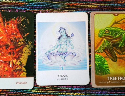 The Cards: The Crystal Oracle by Toni Carmine Salerno; The Goddess Oracle by Amy Sophia Marashinsky; The Secret Language of Animals by Chip Richards.