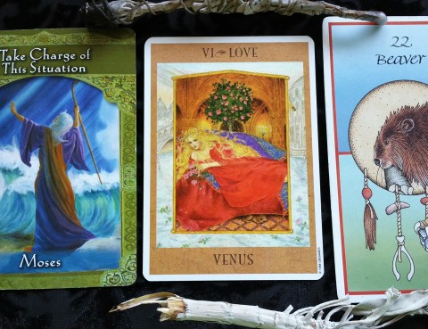 The Cards: Ascended Masters by Doreen Virtue, Ph.D.; The Goddess Tarot by Kris Waldherr;The Animal Medicine Cards by Jamie Sams and Dave Carson.