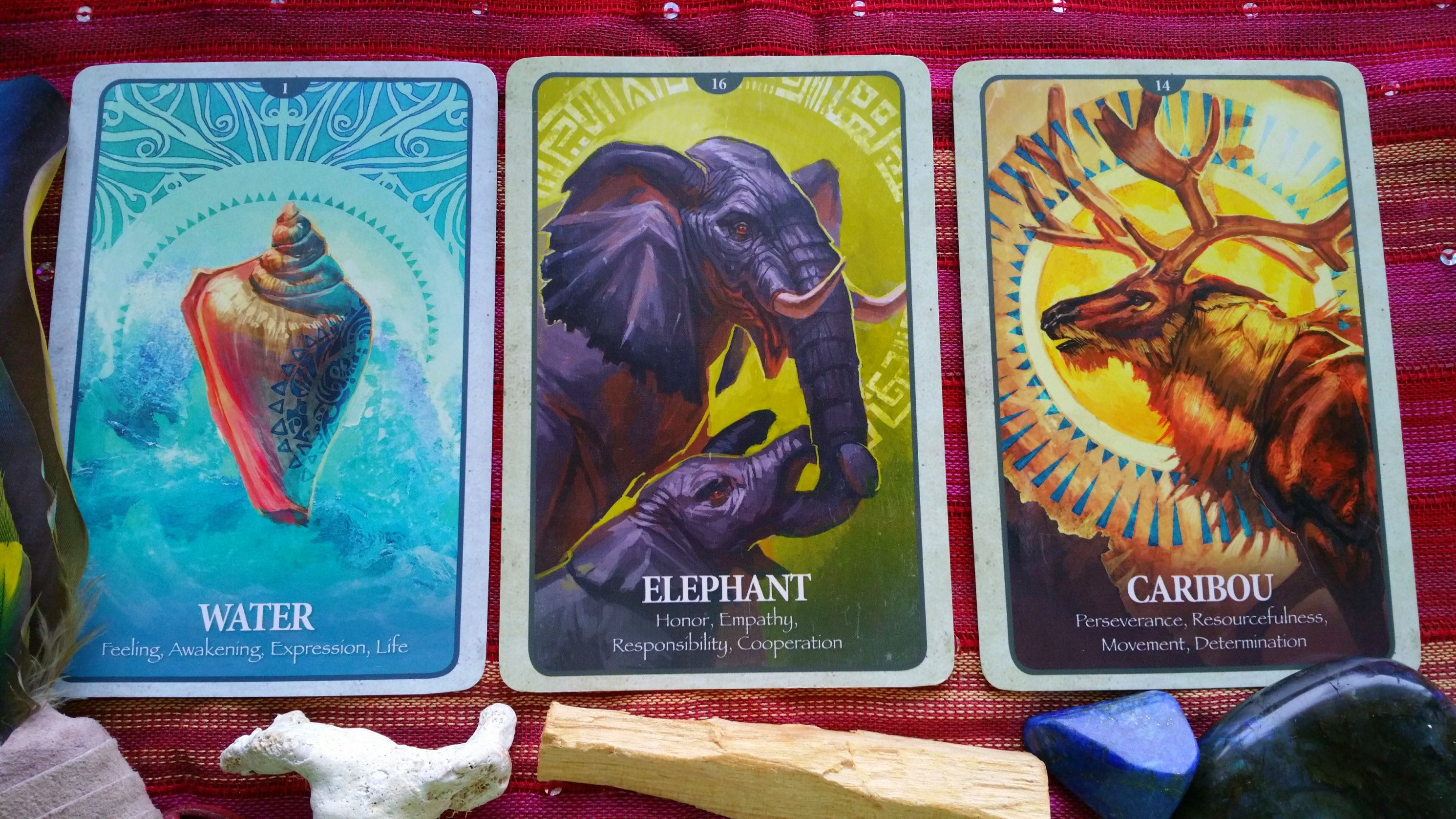 Psychic Faire Jan 2019 Animal Dreaming Oracle Cards by Scott Alexander King - http://animaldreaming.com/shop/oracle-tarot/animal-dreaming-oracle-cards/