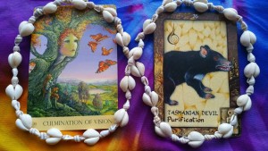THE CARDS Nature’s Whispers Oracle Cards by Angela Hartfield, illustrated by Josephine Wall - http://www.blueangelonline.com/natures_whispers.html Animal Dreaming Oracle Cards by Scott Alexander King - http://animaldreaming.com/shop/oracle-tarot/animal-dreaming-oracle-cards/