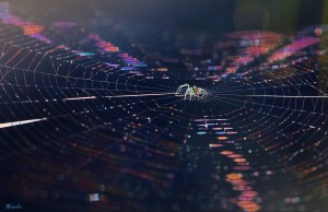 spider_in_rainbow_web_by_fallout99