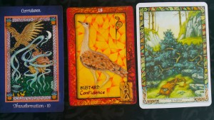 THE CARDS Journey To The Goddess Realm by Lisa Proctor - https://www.usgamesinc.com/Journey-to-the-Goddess-Realm/ Animal Dreaming Oracle Cards by Scott Alexander King - http://animaldreaming.com/shop/oracle-tarot/animal-dreaming-oracle-cards/ The Druid Plant Oracle by Philip and Stephanie Carr-Gomm, illustrated by Will Worthington - http://www.philipcarr-gomm.com/the-druid-plant-oracle/