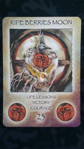 THE CARDS Spirit of the Wheel by Linda Ewashina, illustrated by Jody Bergsma - http://www.bergsma.com/spirit-of-the-wheel-meditation-deck-pr-3040.html RIPE BERRIES MOON Life Lessons - Victory - Courage