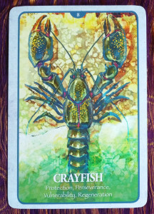 Crayfish from The Secret Language of Animals by Chip Richards - http://www.blueangelonline.com/secret_language_of_animals.html