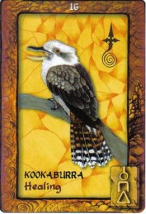 THE CARDS Animal Dreaming Oracle Cards by Scott Alexander King - http://animaldreaming.com/shop/oracle-tarot/animal-dreaming-oracle-cards/