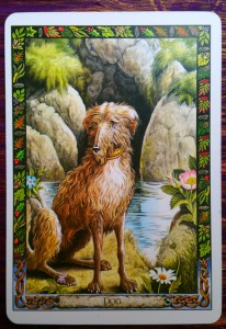 Dog from Druid Animal Oracle