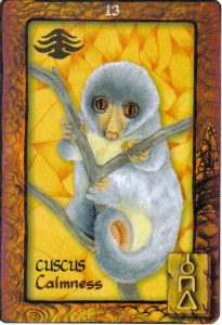 cuscus from Animal Dreaming Oracle