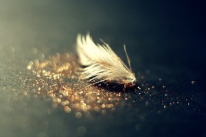 Feathers and fairy dust