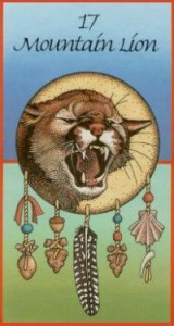 mountain lion animal medicine cards