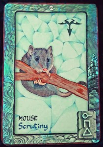 Mouse-2015-12-29