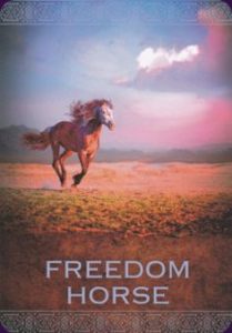 freedom-horse-native-spirit-oracle-cards