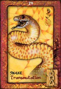 desire to aspire snake-animal_dreaming_oracle_sample_1