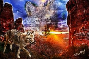 Coyote Medicine by Art of Frequency duane redwolf