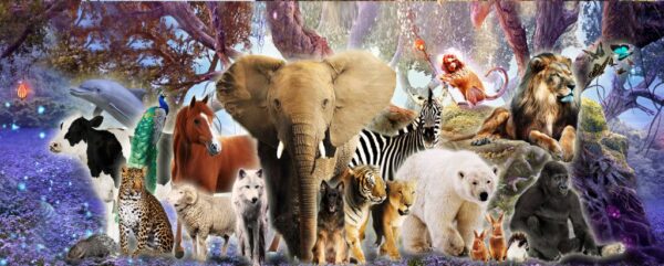 Second Step Shamanic Training