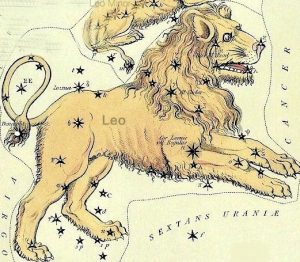 leo from wikimedia commons