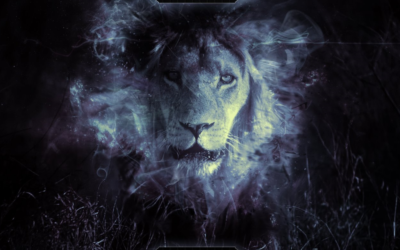 Your Passionate Heart