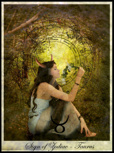 Breathe Here Now Wild love