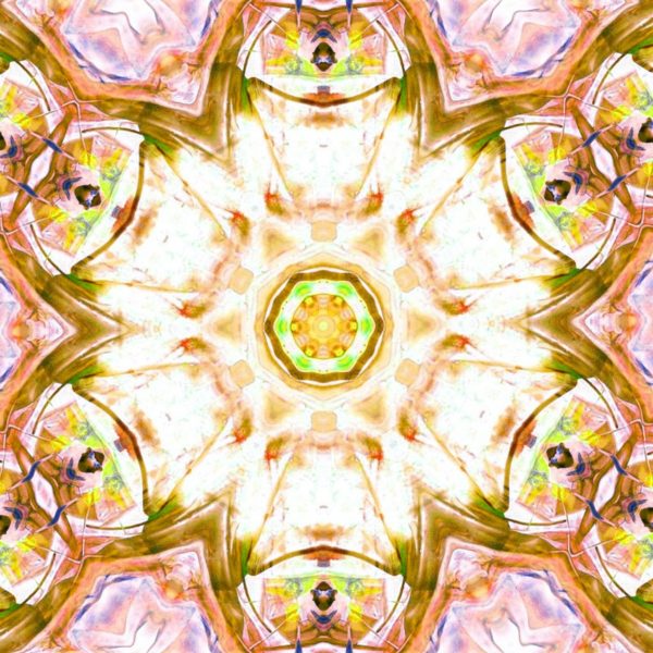 Spring Equinox Zoom