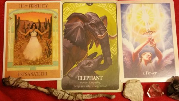 Destiny Path Oracle Card Reading