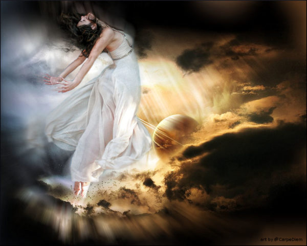 Wild Ride January 22 2021