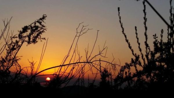 Sunset Hike at Wright's Field