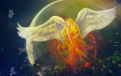 Love Matters Venus Report