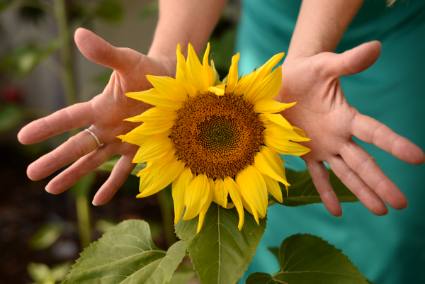 Summer Solstice 2021 Mara with Sunflower Hands