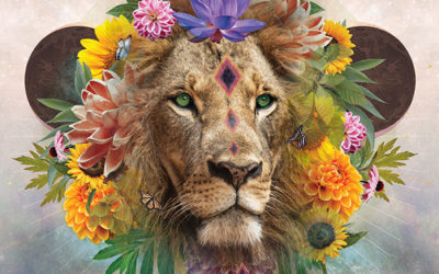 Let’s Roar Leo Season July 22 2022