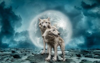 Complex Relationships Aries Full Moon