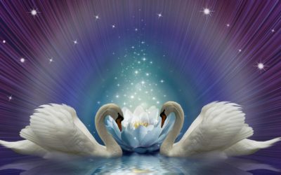 Exalted Waters
