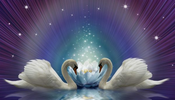Exalted Waters - by PlacidPlace on Pixabay