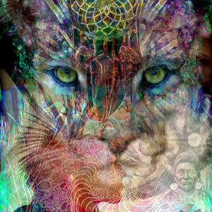 Shamanic Journey Quest Reawakening