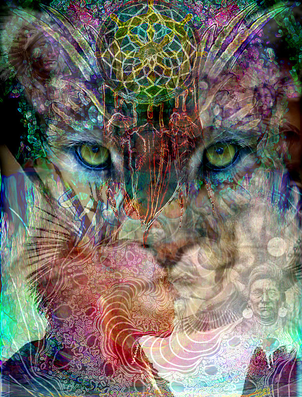 Shamanic Journey Quest Reawakening