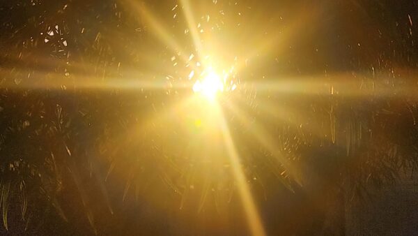 Cancer Solstice 2024