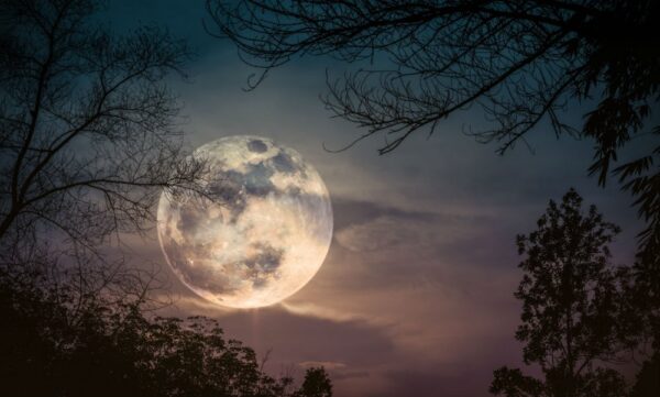 Full Buck Moon July 10 2025 Shamanic Weather Pixabay